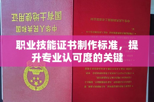 东河职业技能证书制作标准，提升专业认可度的关键