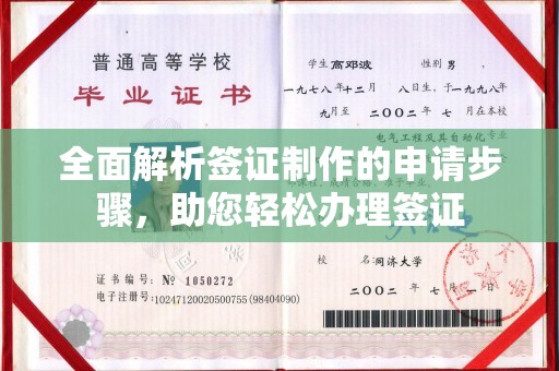 东河全面解析签证制作的申请步骤，助您轻松办理签证