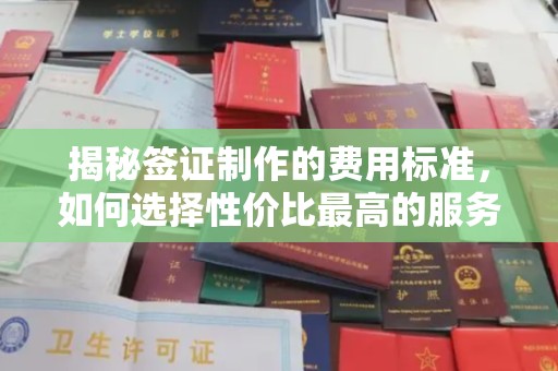 东河揭秘签证制作的费用标准，如何选择性价比最高的服务？