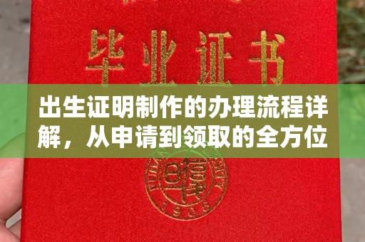 东河出生证明制作的办理流程详解，从申请到领取的全方位指南