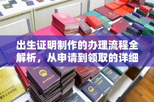 东河出生证明制作的办理流程全解析，从申请到领取的详细指南