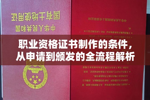 东河职业资格证书制作的条件，从申请到颁发的全流程解析
