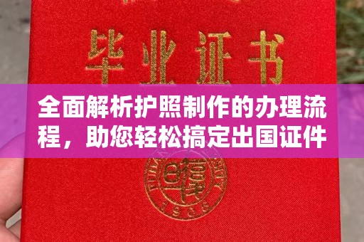 东河全面解析护照制作的办理流程，助您轻松搞定出国证件