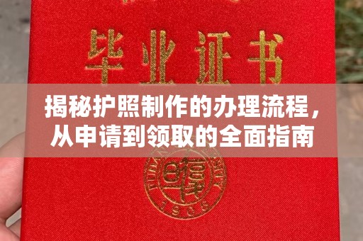 东河揭秘护照制作的办理流程，从申请到领取的全面指南