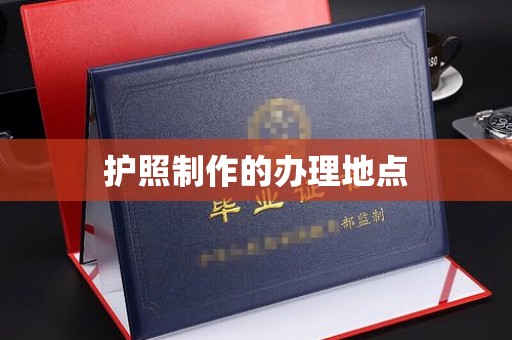 东河护照制作的办理地点
