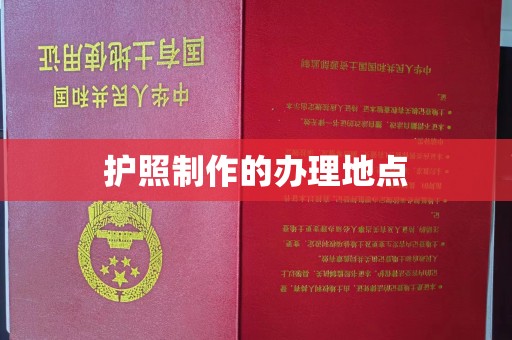 东河护照制作的办理地点