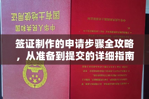 东河签证制作的申请步骤全攻略，从准备到提交的详细指南