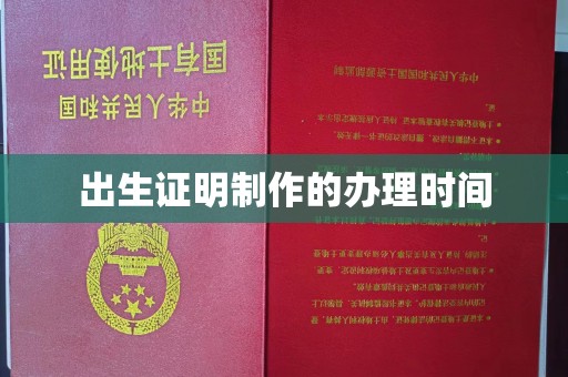 东河出生证明制作的办理时间