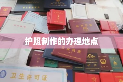 东河护照制作的办理地点