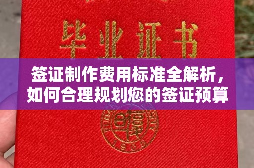 东河签证制作费用标准全解析，如何合理规划您的签证预算？